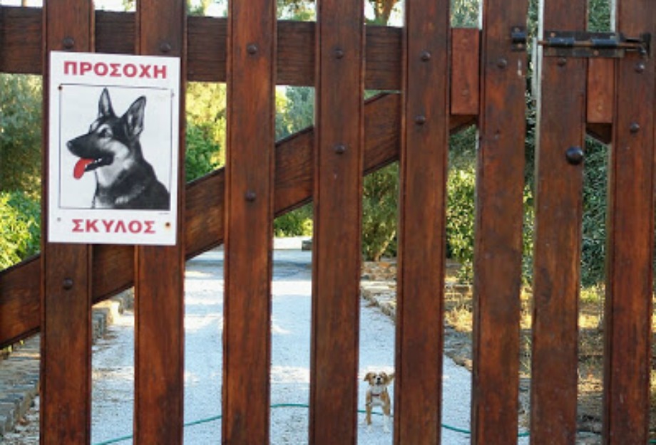 Βάλτε πινακίδα 'Προσοχή σκύλος' για να αποτρέψετε τους κλέφτες να εισέλθουν ακόμα και αν δεν έχετε σκύλο