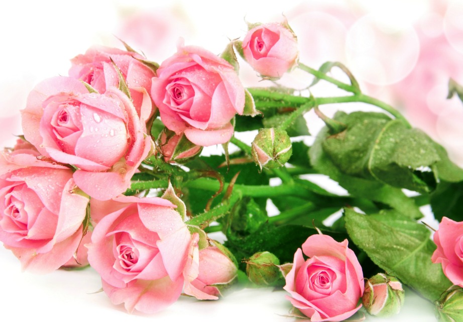 Το ροζ σχετίζεται με τα συναισθήματα της αγάπης και ευγνωμοσύνης.
