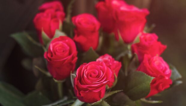 7 Επαγγελματικά Μυστικά για να Διατηρήσετε τα Λουλούδια σας Φρέσκα Περισσότερο Καιρό