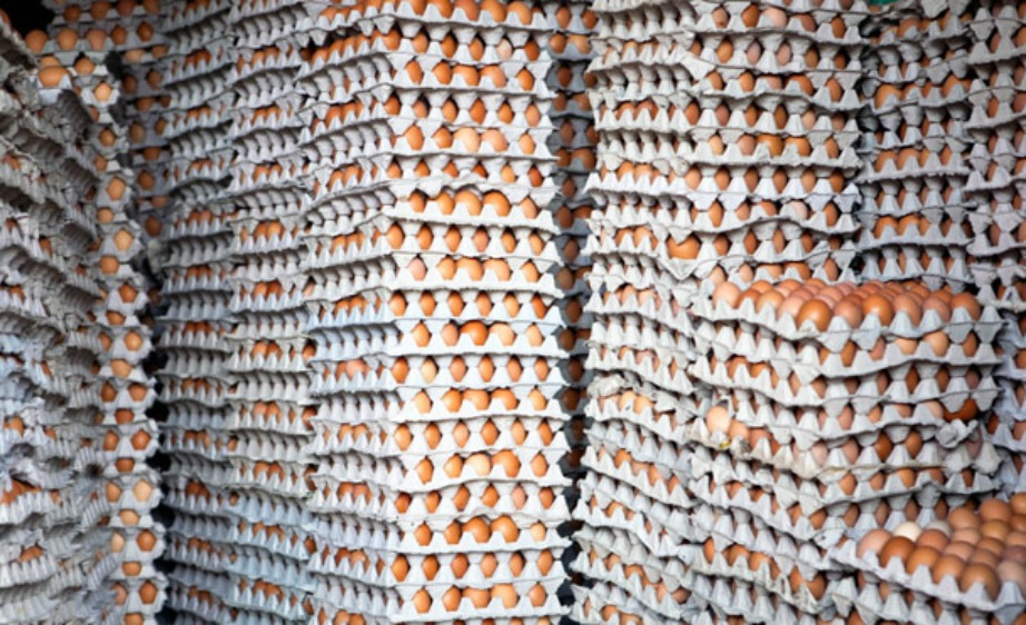Στη Νότια Γαλλία φτιάχνεται η πιο μεγάλη ομελέτα από 4500 αυγά
