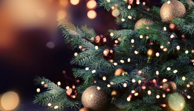 10+1 Στιλάτα Χριστουγεννιάτικα Δέντρα που θα σας Εντυπωσιάσουν