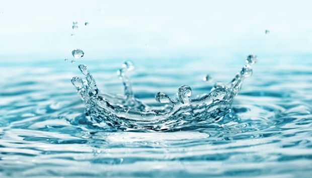 Νερό της Βροχής: Πώς Μπορείτε να το Χρησιμοποιήσετε