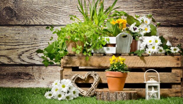 Ανανεώστε την Αυλή και τον Κήπο σας για το Πάσχα και Όχι Μόνο!