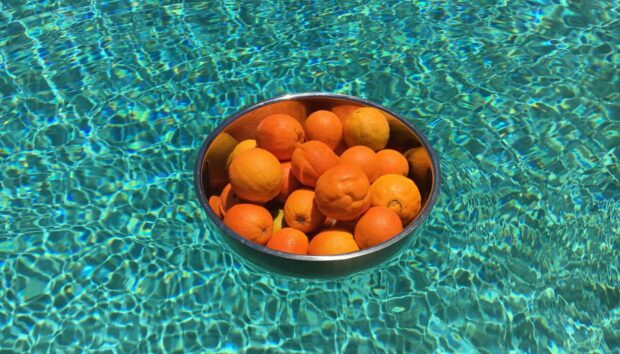 Γιατί οι Influencers του TikTok Τρώνε Πορτοκάλια στο Ντους