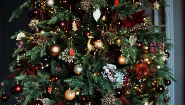 Στολίστε σαν Επαγγελματίες το Χριστουγεννιάτικο Δέντρο με 11 Έξυπνα Tips