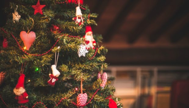 3 Tips για να Διαλέξετε το Τέλειο Χριστουγεννιάτικο Δέντρο για το Σπίτι σας!