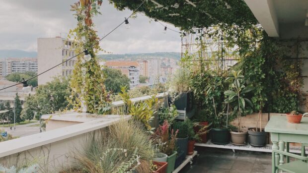 5 Tips για να Φτιάξετε Έναν Καταπράσινο Κήπο στο Μπαλκόνι