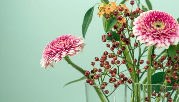 Ποια Φρεσκοκομμένα Λουλούδια για το Βάζο σας που Μπορούν να Διαρκέσουν Εβδομάδες